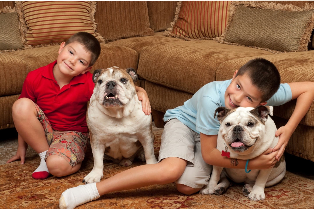 Así debe ser la relación entre un niño y un perro