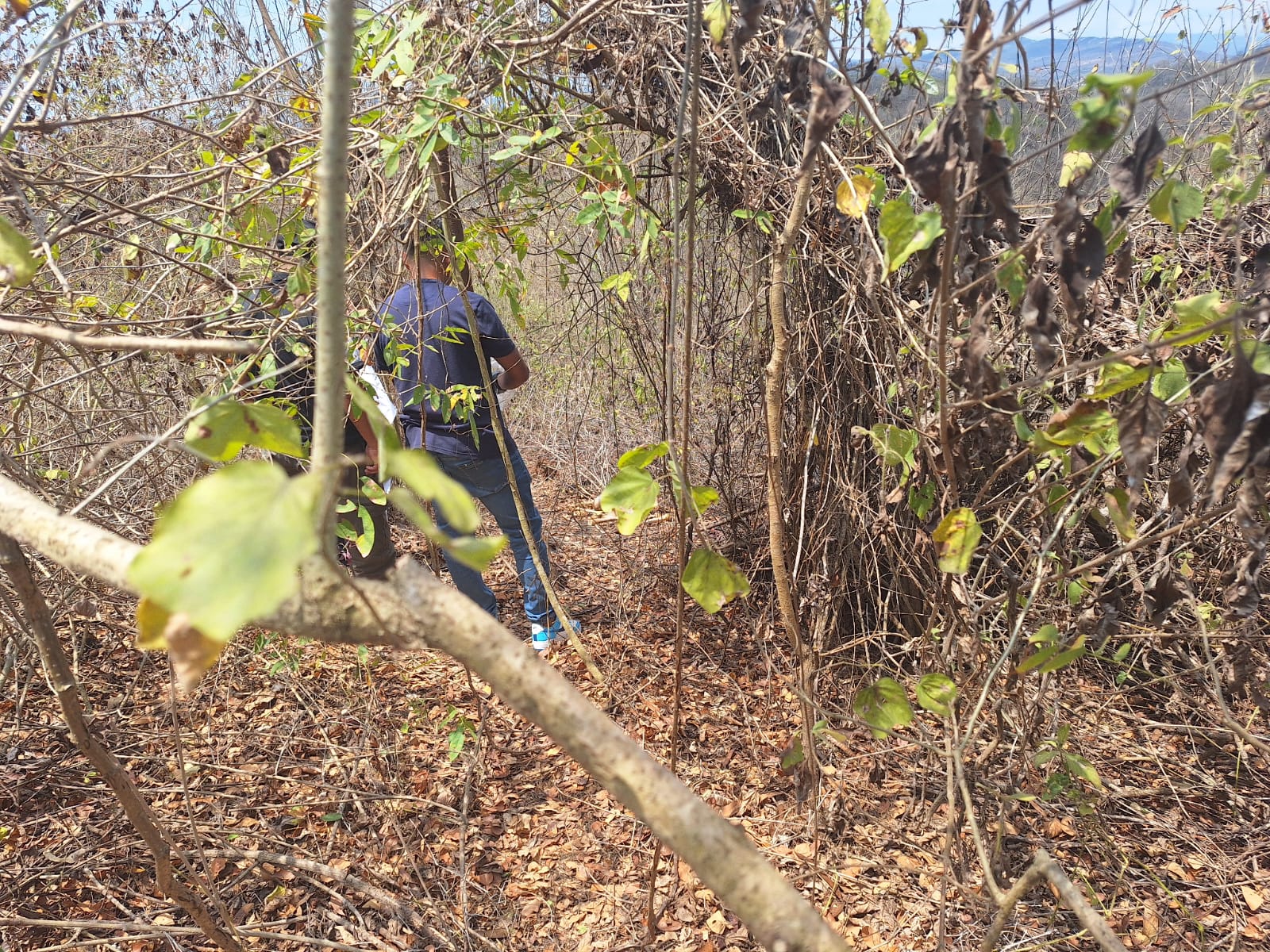 Apicultor encontró una osamenta que sería de una mujer, en Portoviejo