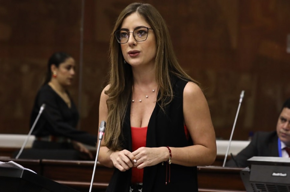 Victoria Desintonio, asambleísta del correísmo presentó una queja en contra de la legisladora oficialista Lucía Jaramillo.