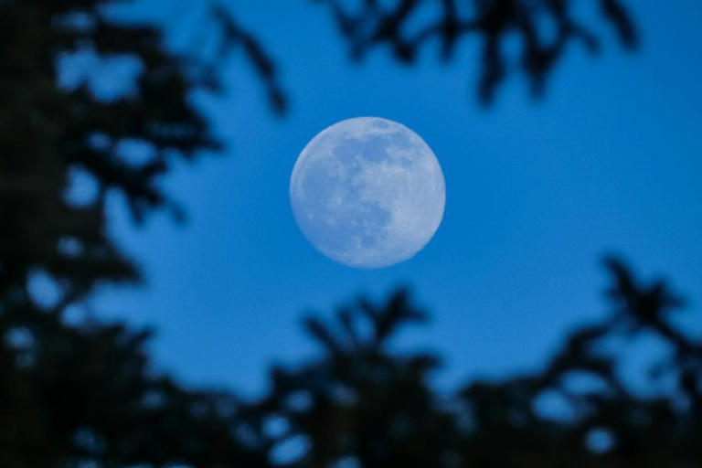 Superluna esturión