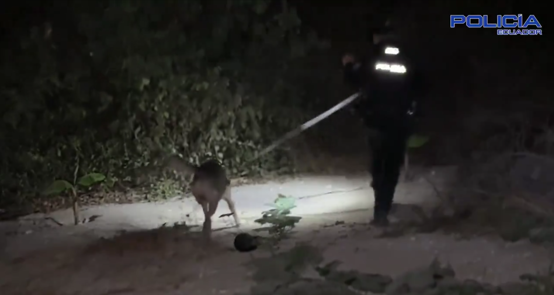 Policía allanó polígono de tiro de Los Lobos e incautó armas
