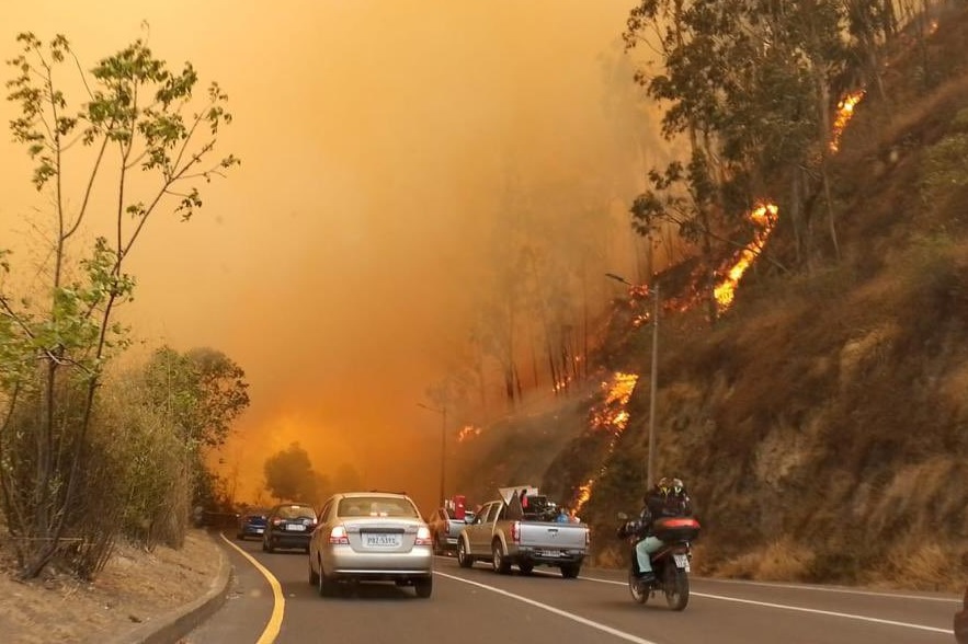 Un fuerte y graan incendio forestal se prendió y activó a las autoridades la tarde de este martes 24 de septiembre del 2024, en Quito.