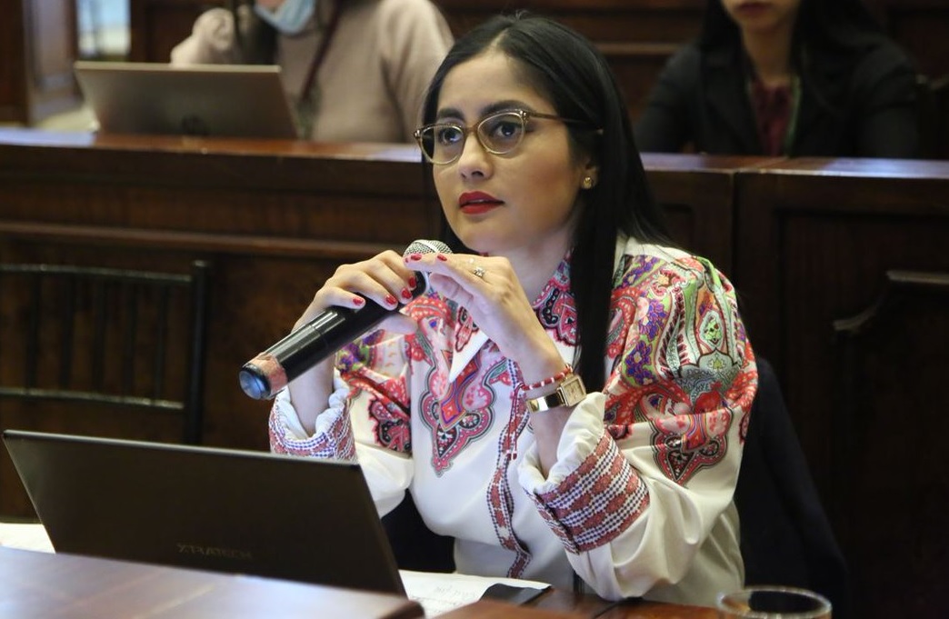 Viviana Veloz, asambleísta por Santo Domingo de los Tsáchilas asumirá la Presidencia de la Asamblea Nacional.