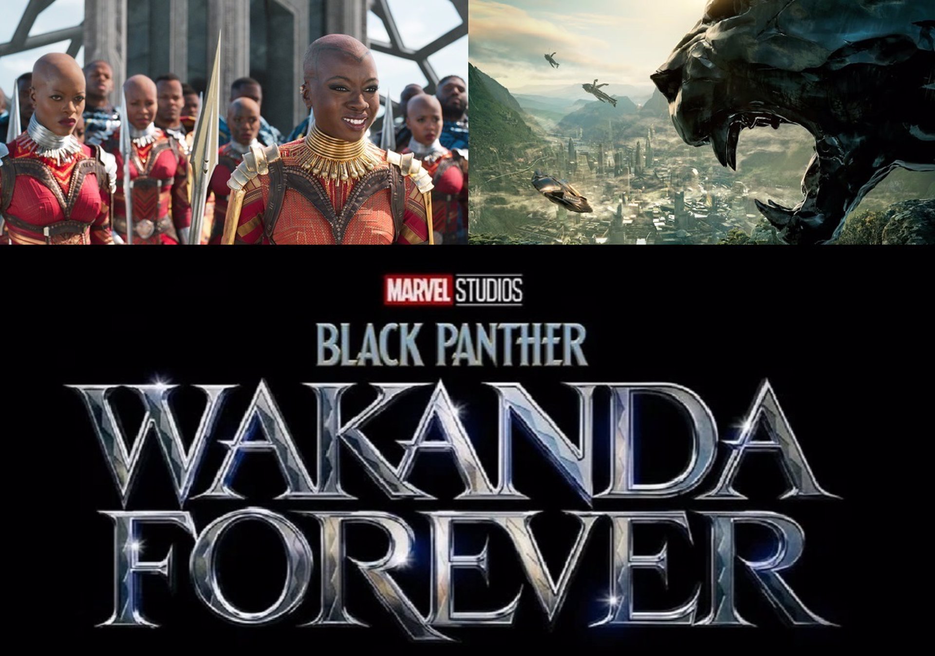 Black Panther: Wakanda Forever instal the last version for windows