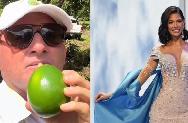 Un árbol de aguacates predijo a la ganadora del Miss Universo