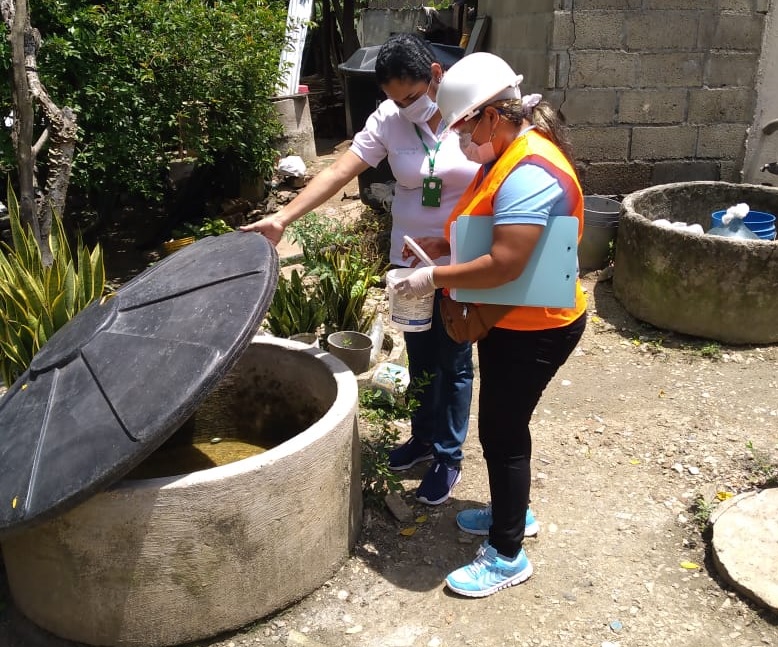 Dengue En Ecuador: Aumentan Los Casos Y Ya Van 15 Fallecidos - El ...