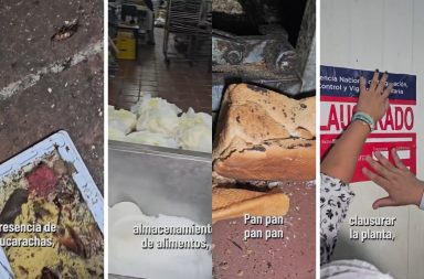 Heces de roedores y cucarachas detectó Arcsa en panadería de Guayaquil