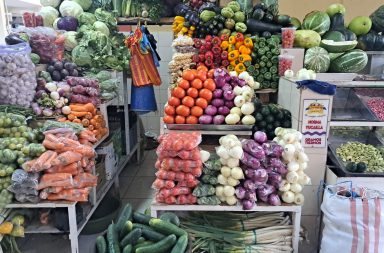 zanahoria, tomates y lechuga contaminados con plomo y cadmio