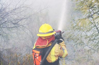 incendios forestales