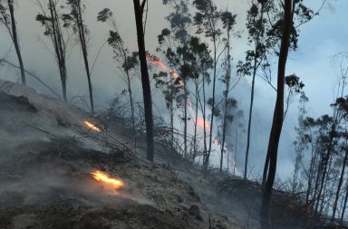 Se reactiva el fuego en Guápulo, Quito