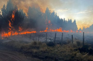 Durante el lapso de 24 horas un incendio forestal destruyó algo más de 100 hectáreas de bosques en la provincia de Cotopaxi.