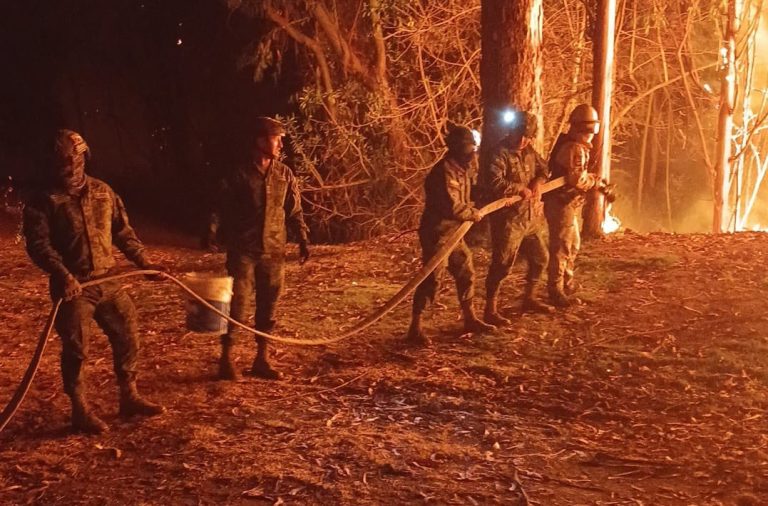 El norte de Quito vive momentos de zozobra debido a un gran incendio forestal  que se activó en el sector de Guápulo. Las llamas amenazan a dos barrios.