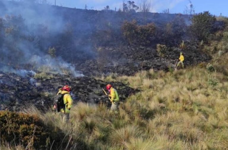 Los incendios forestales y la sequía que afectan a varias provincias del país están poniendo en jaque a las autoridades de Gobierno.