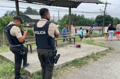 hallan cabeza en parada de buses