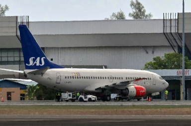 ratón en el avión obliga a aterrizar