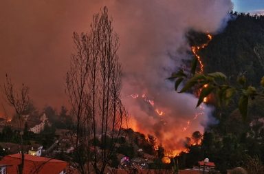 Un voraz incendio forestal, en el sector de Guápulo, en Quito, hizo que se movilizaran el Gobierno Nacional y el Municipio capitalino.