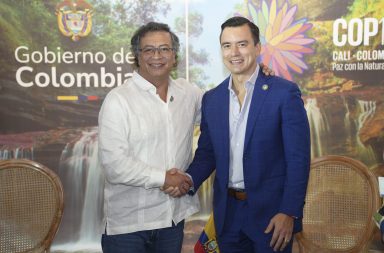 Cita presidencial entre Ecuador y Colombia abordó tema energético