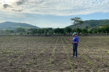 El campesino se está quedando solo