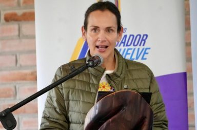 Inés Manzano cero apagones