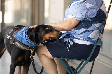 Terapia asistida con perros.