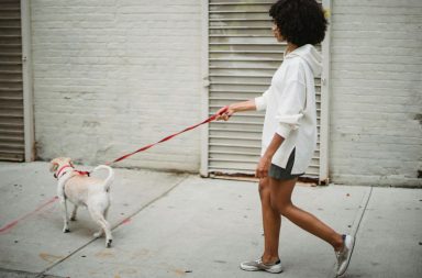 Una mujer perdió un ojo por pasear a su perro