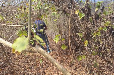 Apicultor encontró una osamenta que sería de una mujer, en Portoviejo