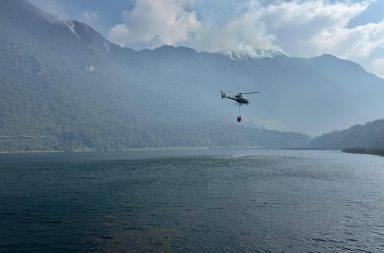 Bomberos y militares buscan mitigar incendios forestales registrados en El Cajas