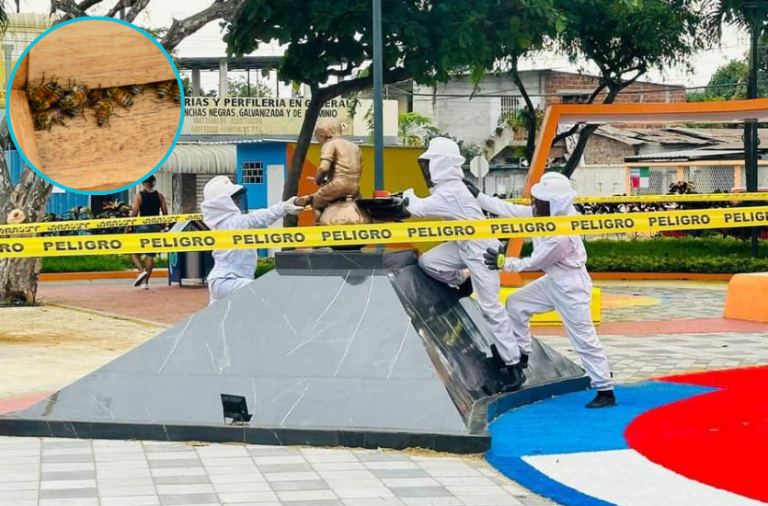 Abejas provocan dos emergencias en zonas urbanas de Portoviejo