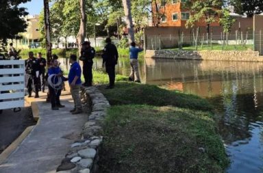 Cocodrilo devoró a un hombre dentro de un lago, todo quedó grabado