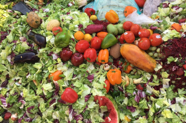 desperdicio de comida alimentos