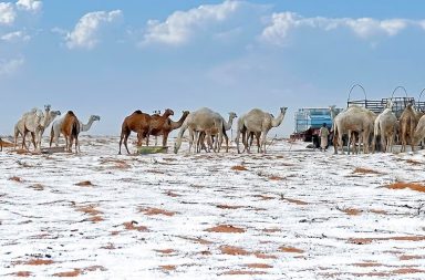 El desierto de Al-Jawf en Arabia Saudita ha sido cubierto por un manto blanco de nieve, lo que ha llamado la atención mundial.