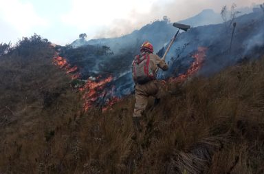 Graves incendios forestales se han registrado en Cuenca y Loja. Las autoridades presumen que estos han sido provocados.