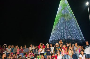 El Diario enciende su árbol de navidad