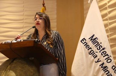 El Pleno de la Asamblea Nacional censuró, este viernes 13 de diciembre del 2024, a Andrea Arrobo, exministra de Energía.