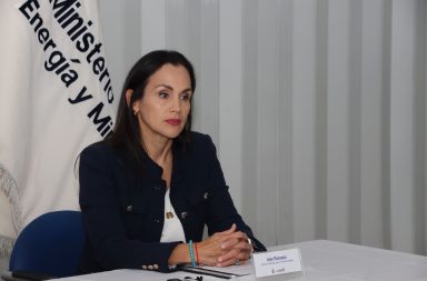 Inés Manzano afirma que el año terminará sin apagones