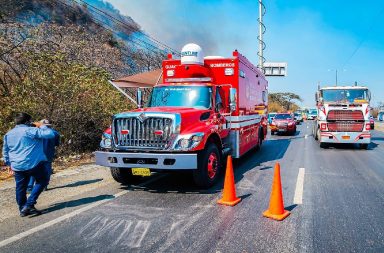 Más de 80 hectáreas de bosque se han visto afectadas en Cerro Azul, una de las zonas protegidas de Guayaquil.