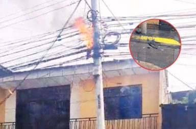 Paloma causó cortocircuito e incendio de cables en Portoviejo