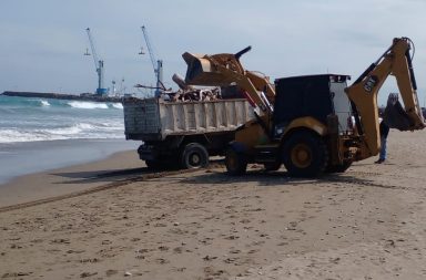 limpieza playa El Murciélago