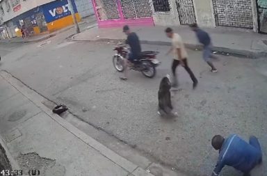 Un perro defendió a un hombre del ataque de tres ladrones