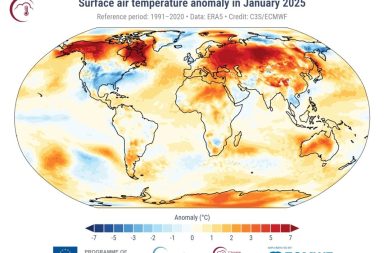 Anomalía de la temperatura del aire superficial para enero de 2025 con respecto al promedio de enero para el período 1991-2020.