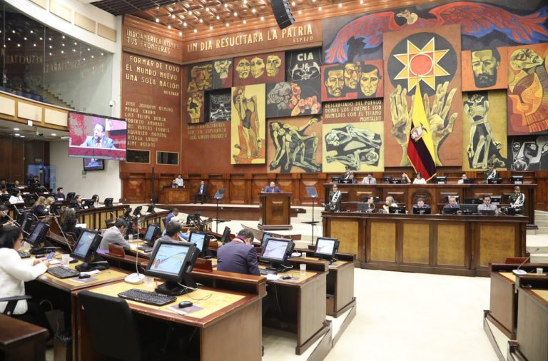 La Asamblea Nacional ratifica que Verónica Abad es la vicepresidenta