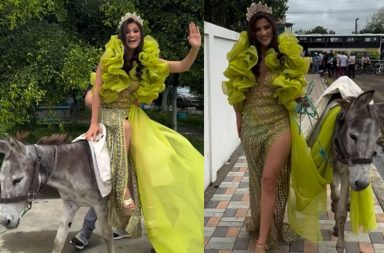 La influencer Elba González acudió a votar junto a un burro y vestida de gala.