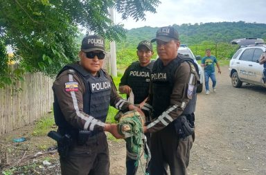 La policía rescató un caimán en Portoviejo