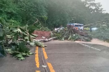 Las lluvias en Manabí han generado varios deslizamientos de tierra, bloqueando temporalmente la vía Flavio Alfaro-El Carmen.