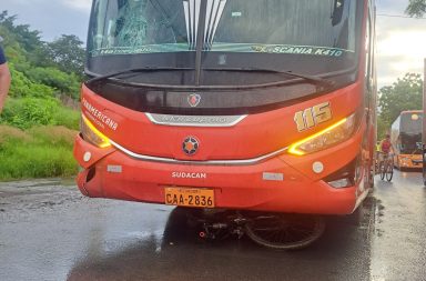 Un ciclista perdió la vida de manera instantánea tras ser atropellado por un bus de la cooperativa Panamericana.