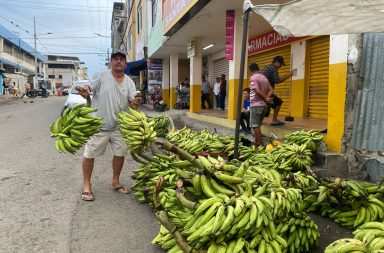 En los mercados de Manta se venden racimos de plátano desde $2 dólares en adelante. También ofrecen pilas de 16 unidades por $1.