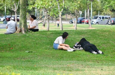 Daniel Noboa decreta que el Ministerio de Ambiente administre el Parque Samanes