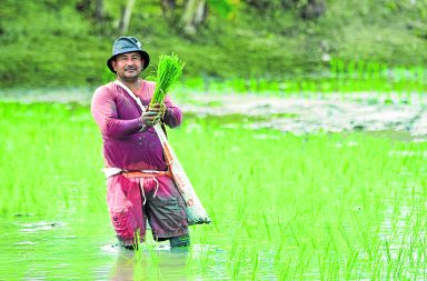 Agricultores manabitas pierden hectáreas de cultivos