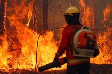 Carolina del Norte y del Sur enfrentan graves incendios forestales tras el impacto del huracán Helene.