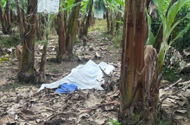 Crónica. Ataques armados en Babahoyo dejan tres muertos y una herida